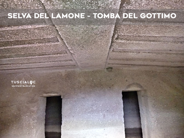 SELVA DEL LAMONE TOMBA DEL GOTTIMO